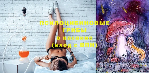 прущие крисы Алзамай