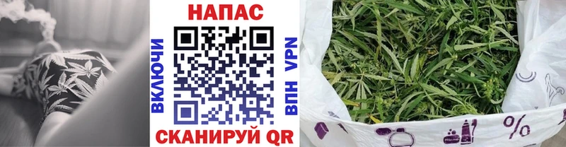 цены   Кукмор  площадка Telegram  Бошки марихуана OG Kush 